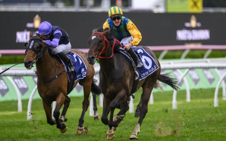 联赛中掀起 联赛中掀起